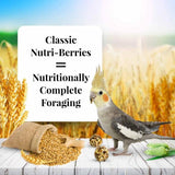 Alimento para pájaros para mascotas