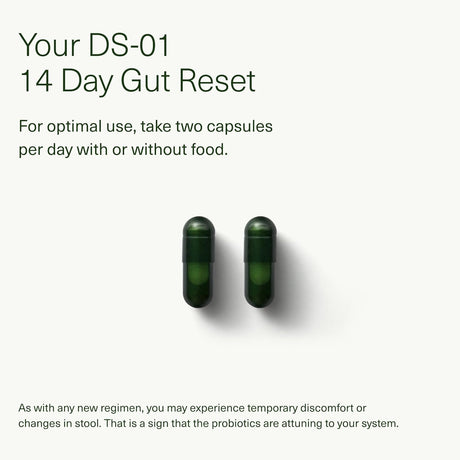 Suplemento de Probióticos y Prebióticos para la Salud Digestiva - 14 Días