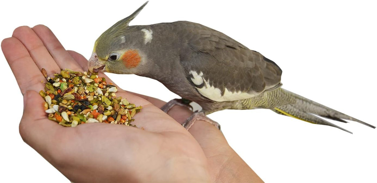 Birds LOVE Alimento para pájaros mediano, 4 libras