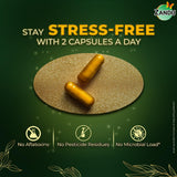 Zandu Ashwagandha Gold Plus: Suplemento Natural Energizante