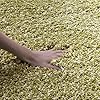 Alfombra de Acogida Shag, No Desprende Pelusa, SG151-5252