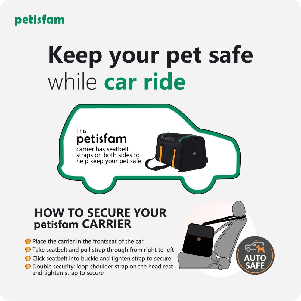 Transportador fácil para gatos medianos y perros pequeños - Aprobado para aerolíneas, carga superior, colapsable