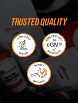 Suplemento en polvo L-Carnosina BulkSupplements, 500mg, 25g