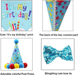 Disfraces de Cumpleaños para Perro Agirlvct, 4 Piezas