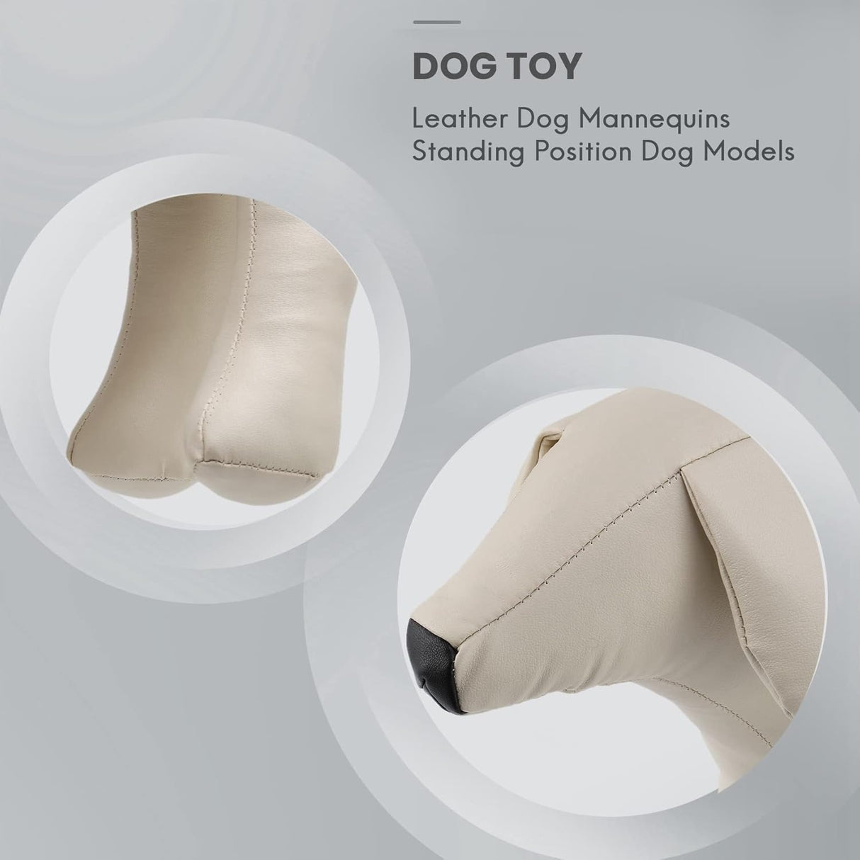 Maniquí de perro de piel, modelo M, para exhibición de mascotas