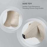 Maniquí de perro de piel, modelo M, para exhibición de mascotas