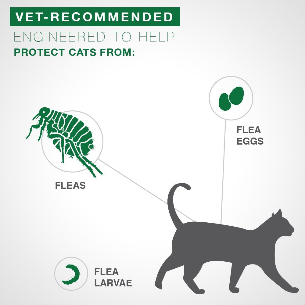 Bayer Advantage II para gatos grandes de más de 9 libras