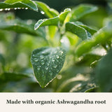 Suplementos Ashwagandha Root Apoya una respuesta de estrés