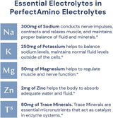 PerfectAmino Electrolitos Sin Azúcar, Hidratación, 60 Servs