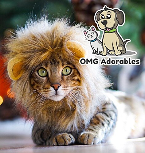 Disfraz para mascota