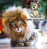 Disfraz para mascota