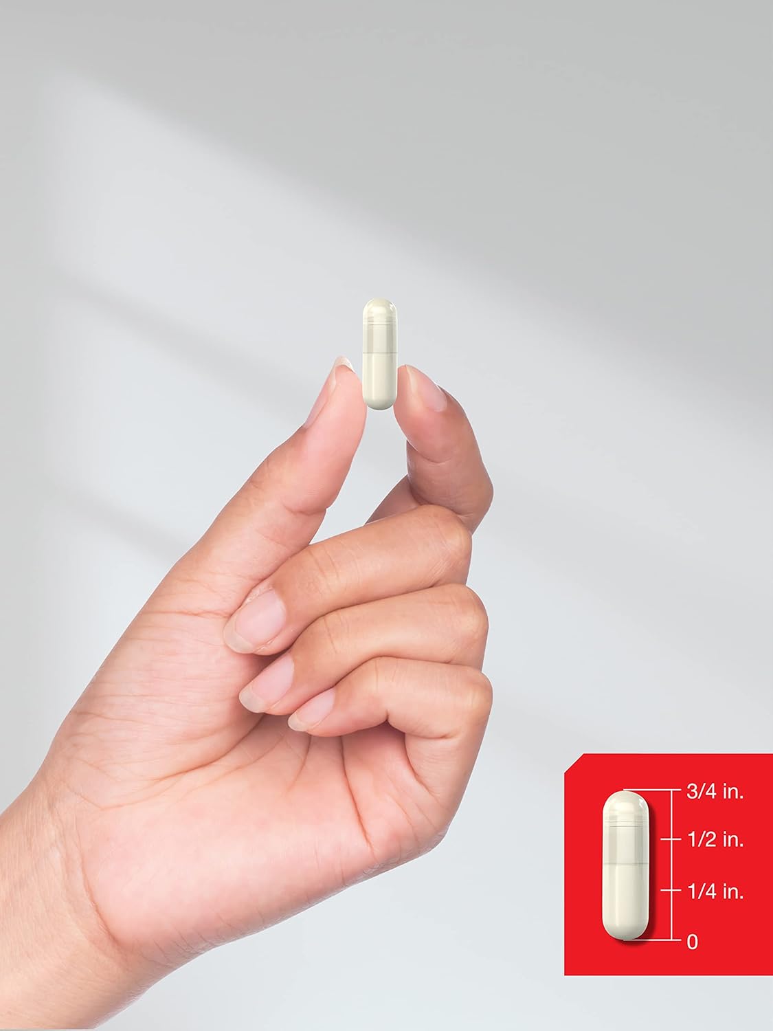 Suplementos Alimenticios Polvo de extracto de raíz