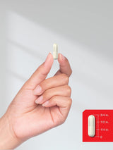 Suplementos Alimenticios Polvo de extracto de raíz