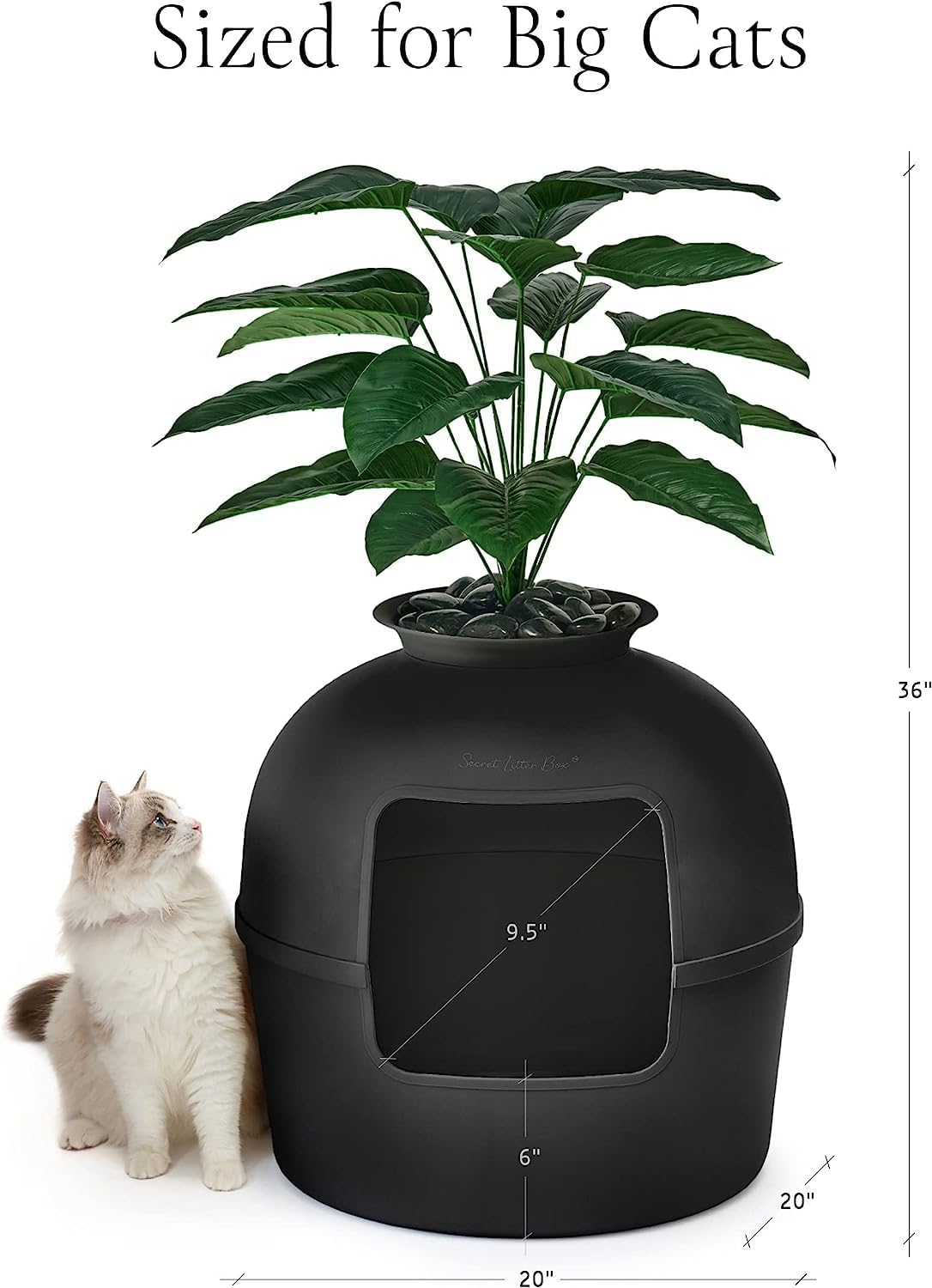 Caja de Arena Secreta con Filtro de Carbón y Planta Artificial