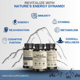 Suplemento Shilajit Pure Himalayan 1500 mg con Panax Ginseng