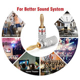 WGGE WG-009 - Conector de audio con clavijas banana