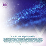 Cápsulas de Ribósido de Nicotinamida | 300mg | Precursor NAD+