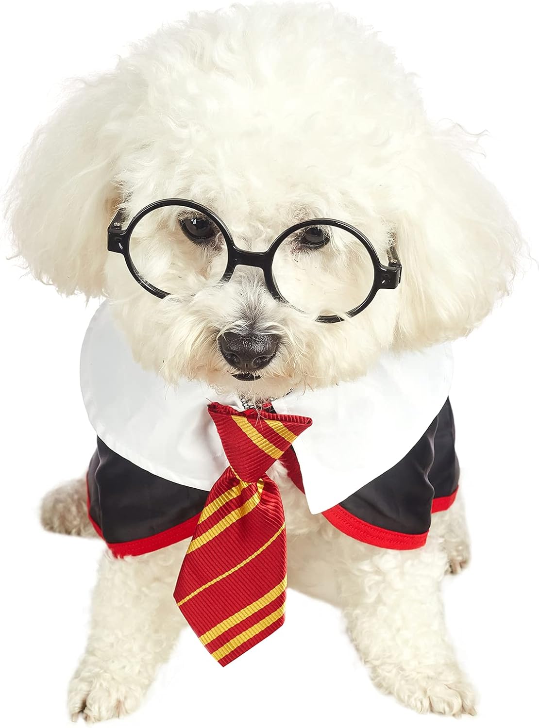 Disfraces de Camisas divertidas para perro talla S