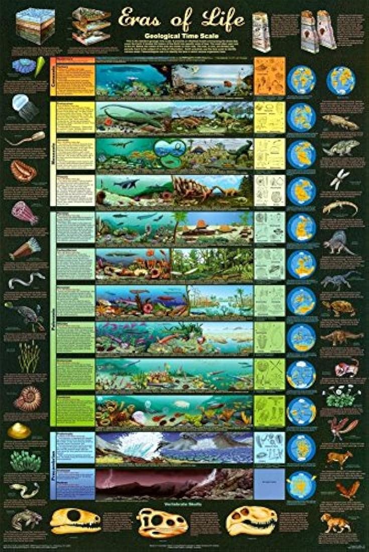 Póster de Eras de Life Geology Educational Science Chart