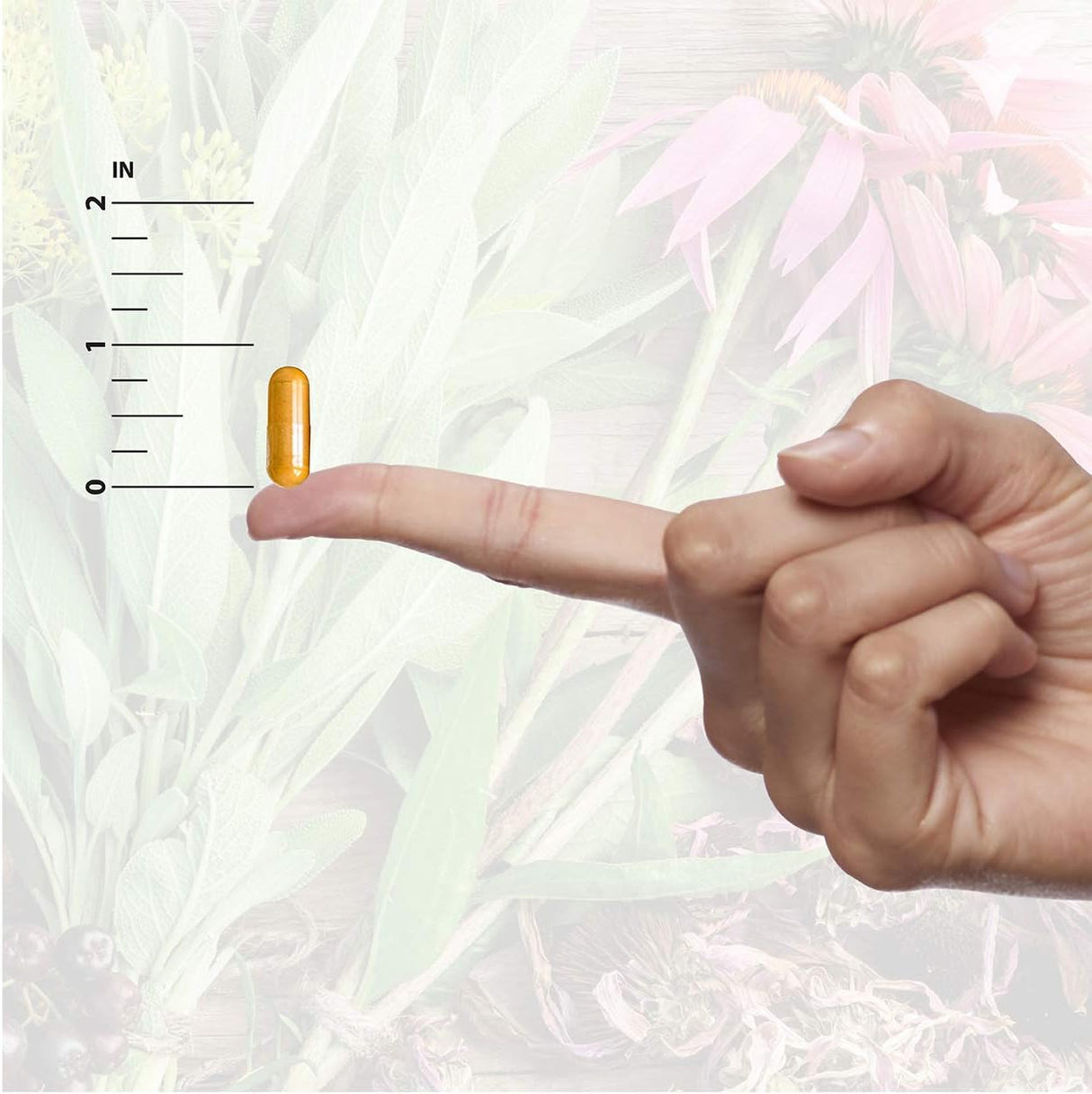 Suplemento en cápsulas de raíz de regaliz, Nature's Answer, 90 ct.