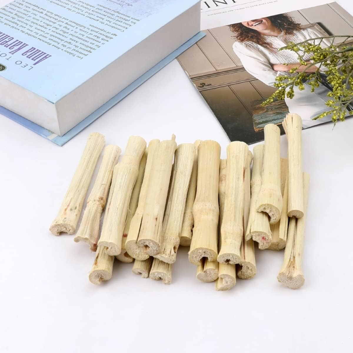 Snacks de Bambú 300g para Conejos y Roedores - Molar Treats