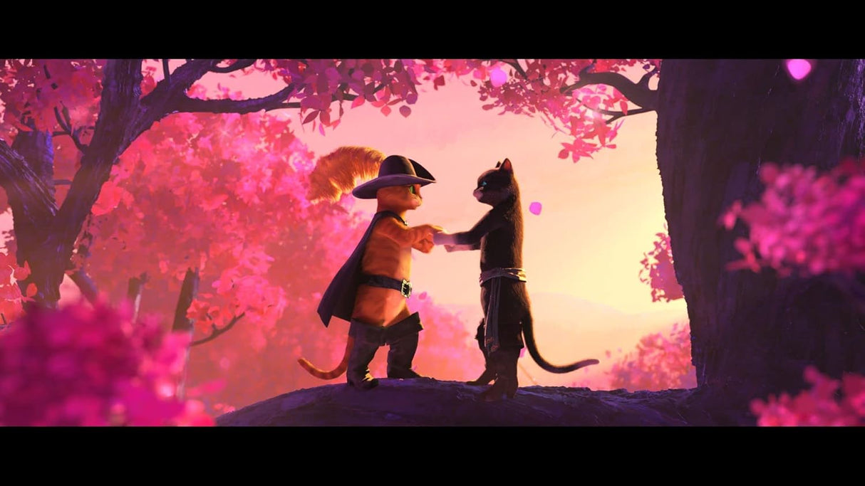 Puss in Boots: The Last Wish(Blu-Ray + DVD + Digital)