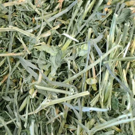 Heno de alfalfa para mascotas pequeñas Oxbow Animal Health