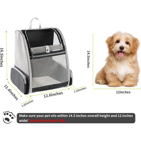 Mochilas de gatos para transporte