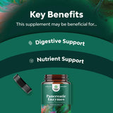 Suplementos Enzimas digestivas de pancreatina para la salud