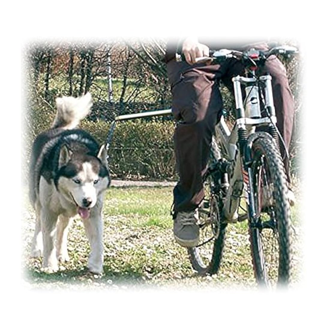 Manos libres para correa de perro en bicicleta
