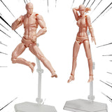 Maniquí AXITWXIT para Dibujo, Set Hombre y Mujer, Artistas