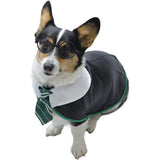 Disfraces de divertidas para perro talla S