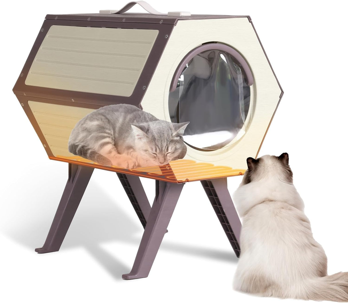 Casa Calentada para Gatos, Refugio Aislado con Control Térmico