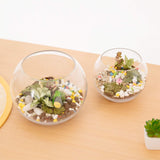 WGV - Jarrón de vidrio, diámetro de 8 pulgadas, altura 6.5 pulgadas, ancho abierto de 3.75 pulgadas, múltiples opciones de tamaño), maceta de burbujas transparentes para decoración del hogar, eventos