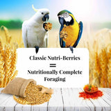 Alimentos para guacamayo cacatúa 3.5 lb