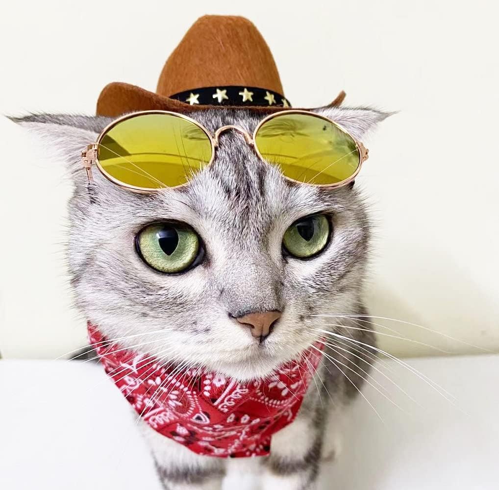 Disfraces  de vaquero de 3 piezas para mascotas talla única