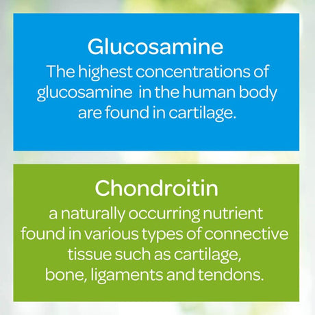 Suplementos Alimenticios Triple fuerza glucosamina