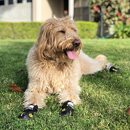 QUMY - Botas impermeables para perros, con tiras reflectantes, suela antideslizante y rugosa, juego de 4 unidades