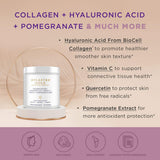 Hylastra Gold Suplemento de Colágeno y Ácido Hialurónico Purity