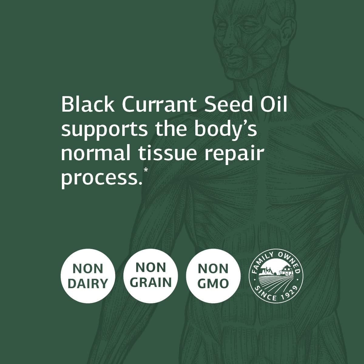 Aceite de Semilla de Grosella Negra - Standard Process - 60 Cápsulas