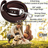 Correa para perro de piel resistente