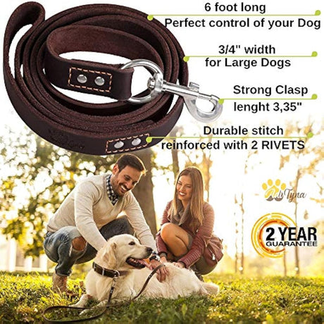 Correa para perro de piel resistente