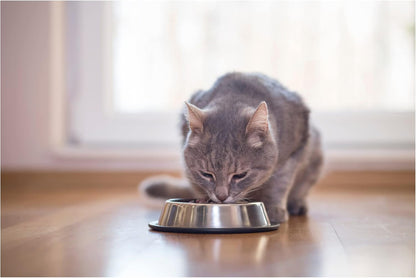 Appetizers de Fancy Feast para Gato 5 Sabores 10 Trays