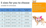 Doglay - Chaleco salvavidas ajustable para perro, con asa de agarre para rescate, para perros pequeños, medianos o grandes