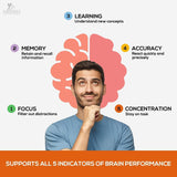 Suplementos Alimenticios de refuerzo cerebral
