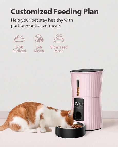 Comederos automáticos temporizados de gatos y dispensador