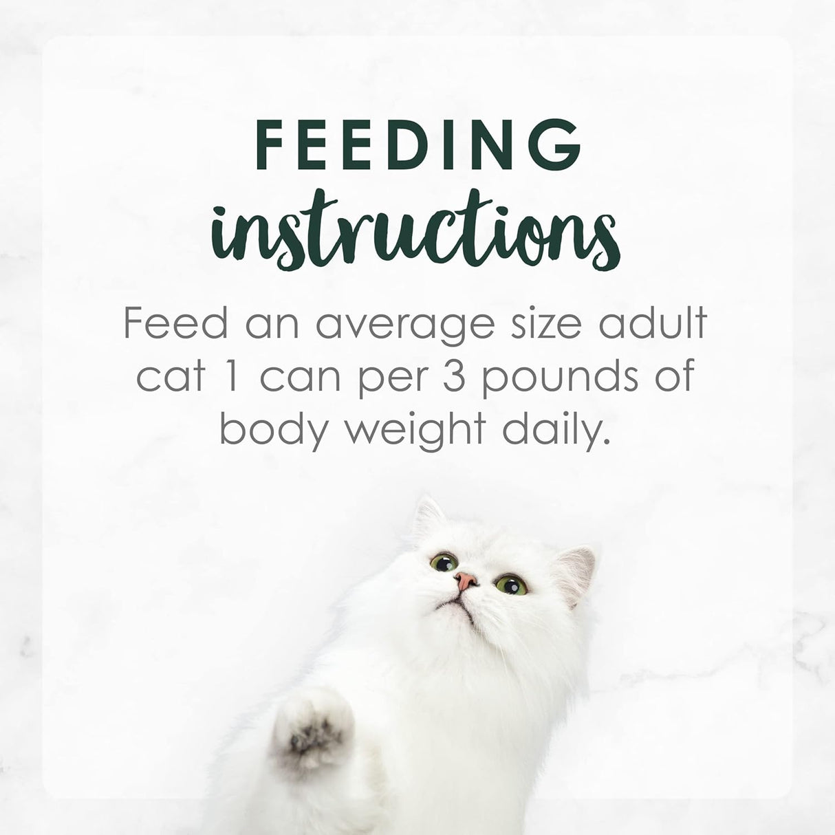 Alimento para Gato húmeda Pack of 24 3 Ounce