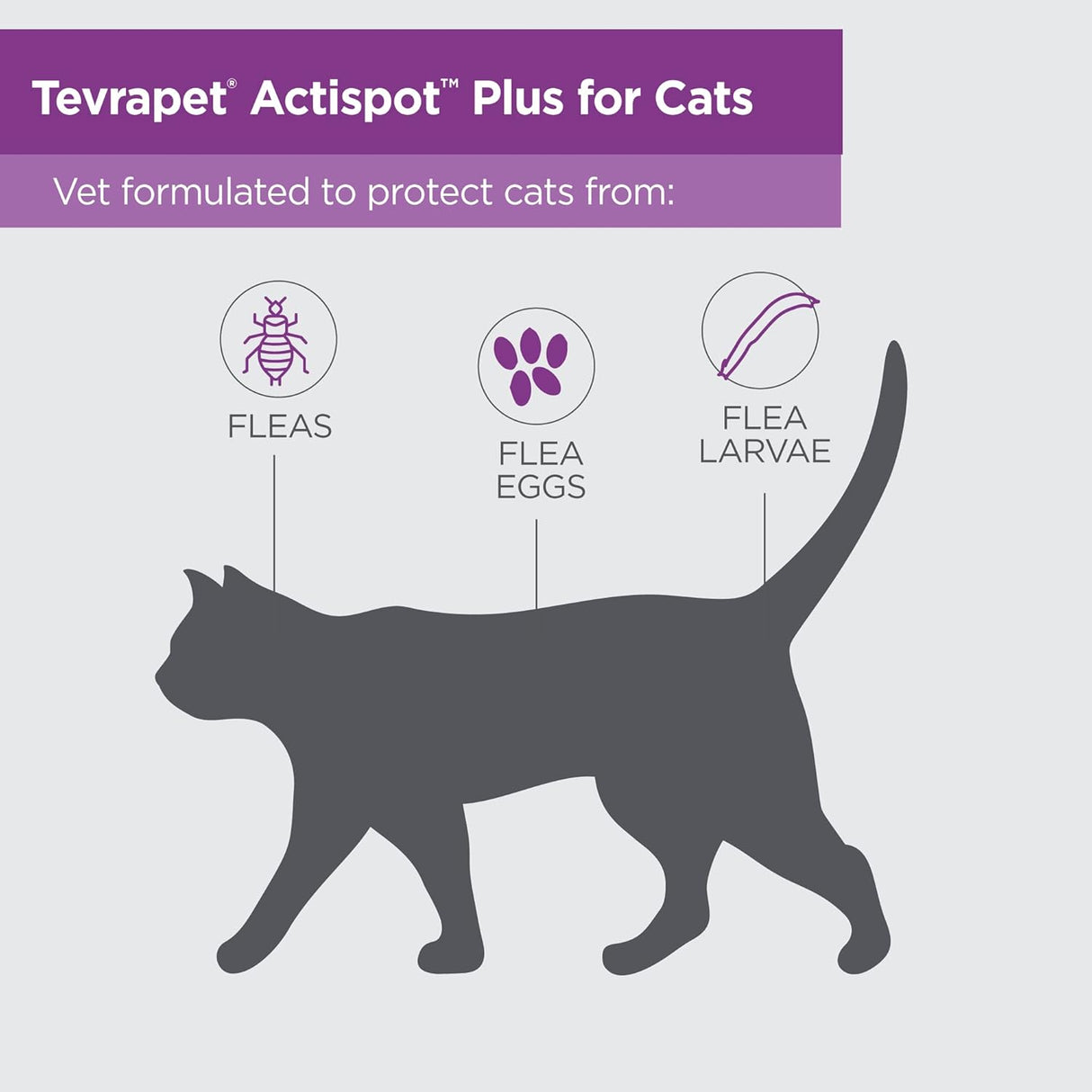 Tratamiento de pulgas para gatos pequeños y medianos