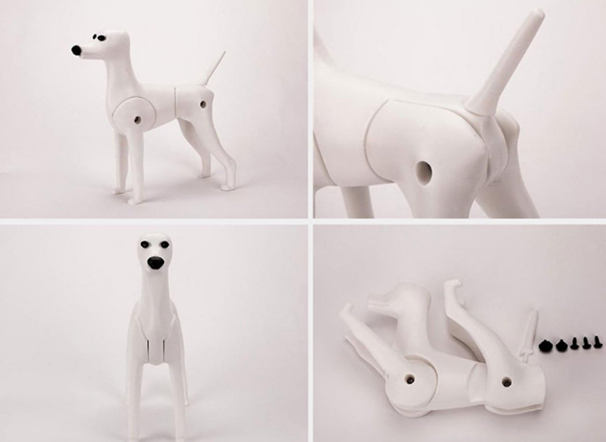 Maniquí de Perro D-Wig para Grooming, Plástico Reforzado