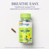 Solaray Hoja de gordolobo apoyar la función respiratoria